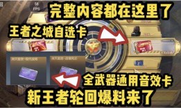 最新爆料王者轮回,揭秘神秘新英雄的诞生与崛起